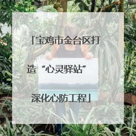 宝鸡市金台区打造“心灵驿站” 深化心防工程