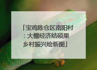 宝鸡陈仓区南阳村：大棚经济结硕果 乡村振兴绘新图