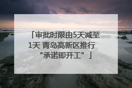 审批时限由5天减至1天 青岛高新区推行“承诺即开工”