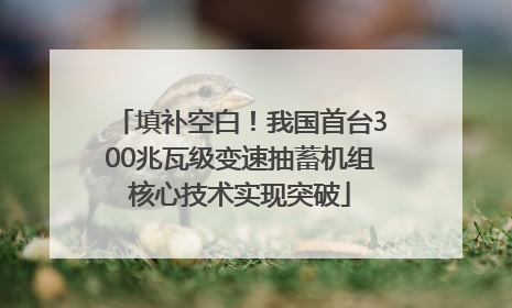 填补空白！我国首台300兆瓦级变速抽蓄机组核心技术实现突破