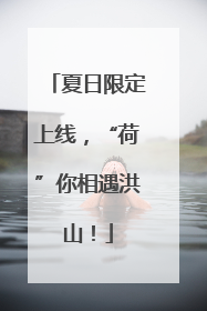 夏日限定上线，“荷”你相遇洪山！