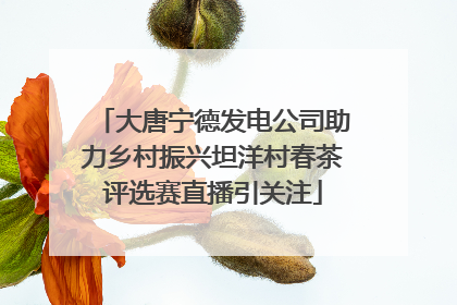大唐宁德发电公司助力乡村振兴坦洋村春茶评选赛直播引关注