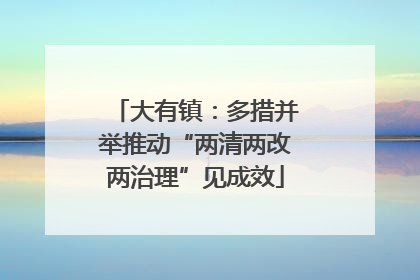 大有镇：多措并举推动“两清两改两治理”见成效