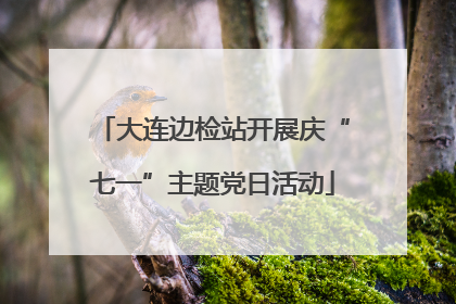 大连边检站开展庆“七一”主题党日活动