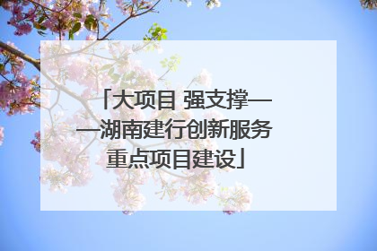 大项目 强支撑——湖南建行创新服务重点项目建设
