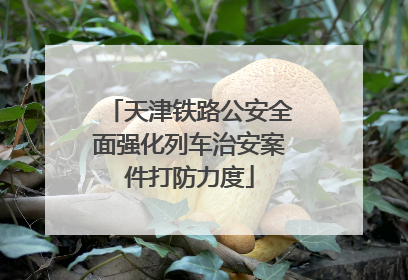 天津铁路公安全面强化列车治安案件打防力度