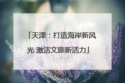 天津：打造海岸新风光 激活文旅新活力