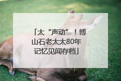 太“声动”！博山石老太太80年记忆见闻存档