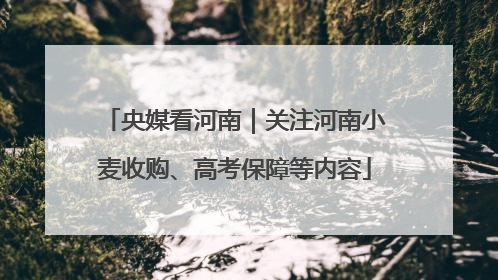 央媒看河南｜关注河南小麦收购、高考保障等内容