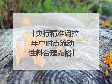 央行精准调控 年中时点流动性料合理充裕