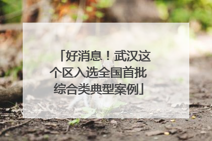 好消息！武汉这个区入选全国首批综合类典型案例