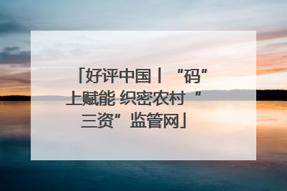 好评中国丨“码”上赋能 织密农村“三资”监管网