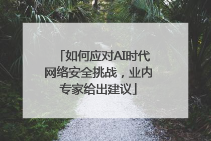 如何应对AI时代网络安全挑战，业内专家给出建议