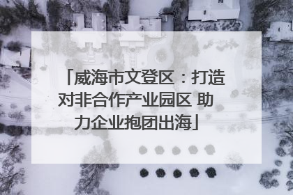 威海市文登区：打造对非合作产业园区 助力企业抱团出海