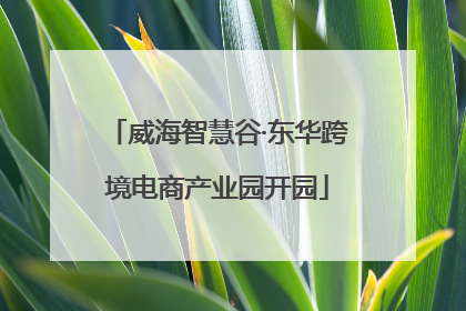 威海智慧谷·东华跨境电商产业园开园