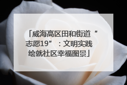 威海高区田和街道“志愿19”：文明实践绘就社区幸福图景