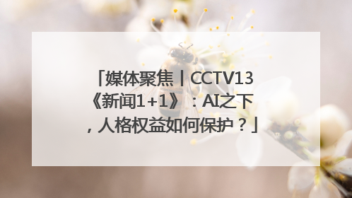 媒体聚焦丨CCTV13《新闻1+1》：AI之下，人格权益如何保护？