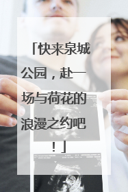 快来泉城公园，赴一场与荷花的浪漫之约吧！