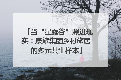 当“星露谷”照进现实：康旅集团乡村旅居的多元共生样本