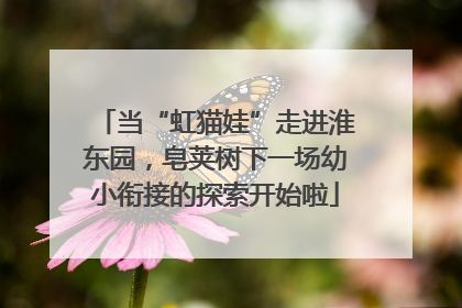 当“虹猫娃”走进淮东园，皂荚树下一场幼小衔接的探索开始啦