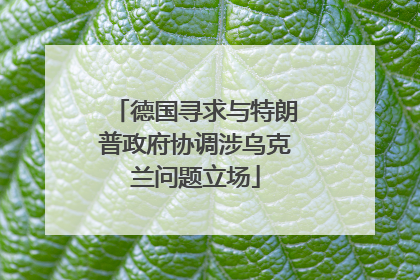 德国寻求与特朗普政府协调涉乌克兰问题立场