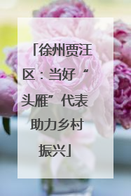 徐州贾汪区：当好“头雁”代表 助力乡村振兴