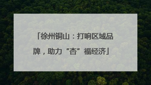 徐州铜山：打响区域品牌，助力“杏”福经济