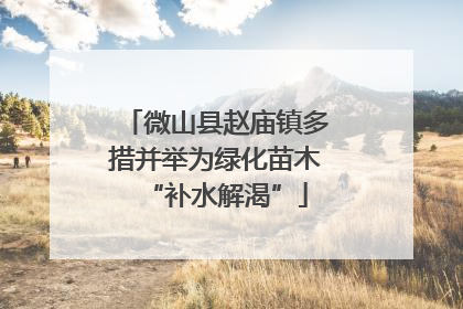 微山县赵庙镇多措并举为绿化苗木“补水解渴”