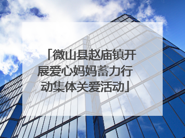 微山县赵庙镇开展爱心妈妈蓄力行动集体关爱活动