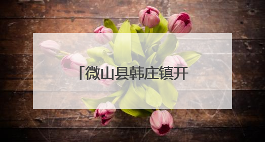 微山县韩庄镇开展防汛应急演练