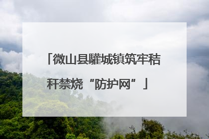 微山县驩城镇筑牢秸秆禁烧“防护网”