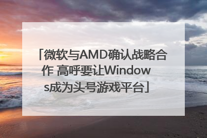 微软与AMD确认战略合作 高呼要让Windows成为头号游戏平台
