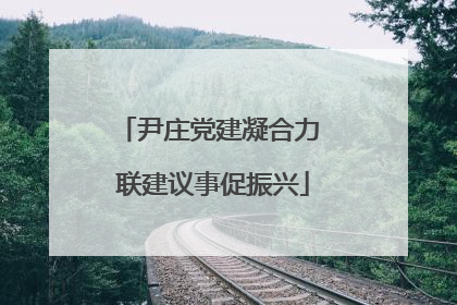 尹庄党建凝合力 联建议事促振兴