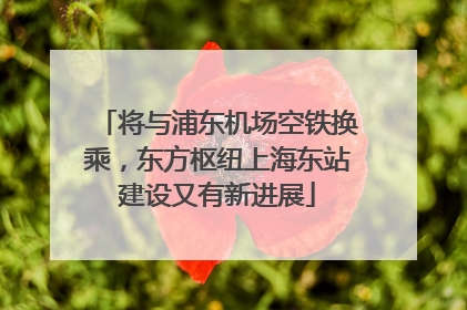 将与浦东机场空铁换乘，东方枢纽上海东站建设又有新进展