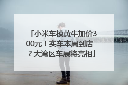 小米车模黄牛加价300元！实车本周到店？大湾区车展将亮相