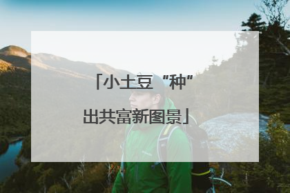 小土豆“种”出共富新图景