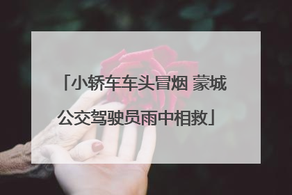 小轿车车头冒烟 蒙城公交驾驶员雨中相救