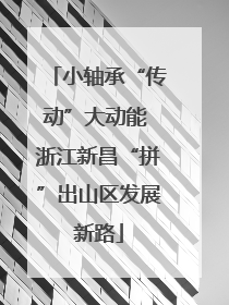 小轴承“传动”大动能 浙江新昌“拼”出山区发展新路