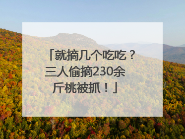 就摘几个吃吃？三人偷摘230余斤桃被抓！