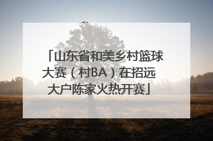 山东省和美乡村篮球大赛（村BA）在招远大户陈家火热开赛