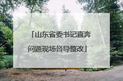 山东省委书记直奔问题现场督导整改