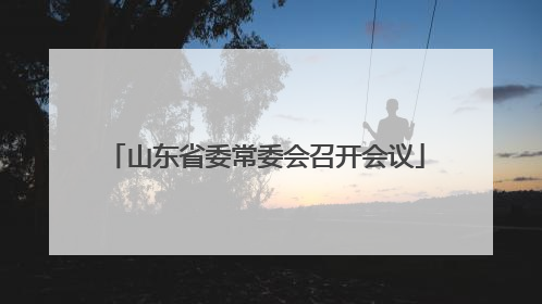山东省委常委会召开会议