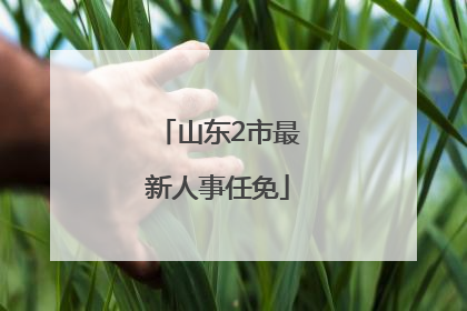 山东2市最新人事任免