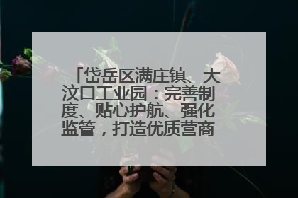 岱岳区满庄镇、大汶口工业园：完善制度、贴心护航、强化监管，打造优质营商“强磁场”