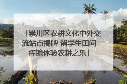 崇川区农耕文化中外交流站点揭牌 留学生田间挥镰体验农耕之乐