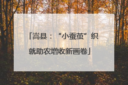 嵩县：“小蚕茧”织就助农增收新画卷