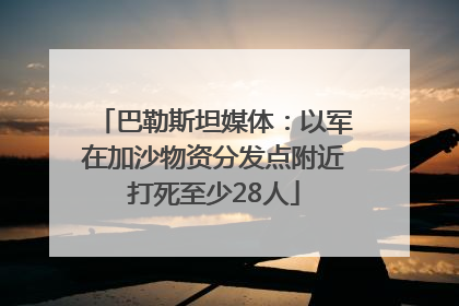 巴勒斯坦媒体：以军在加沙物资分发点附近打死至少28人