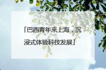 巴西青年来上海，沉浸式体验科技发展
