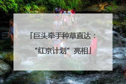 巨头牵手种草直达：“红京计划”亮相