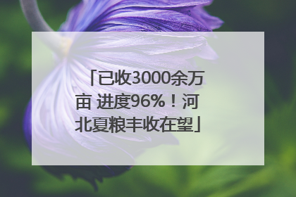 已收3000余万亩 进度96%！河北夏粮丰收在望